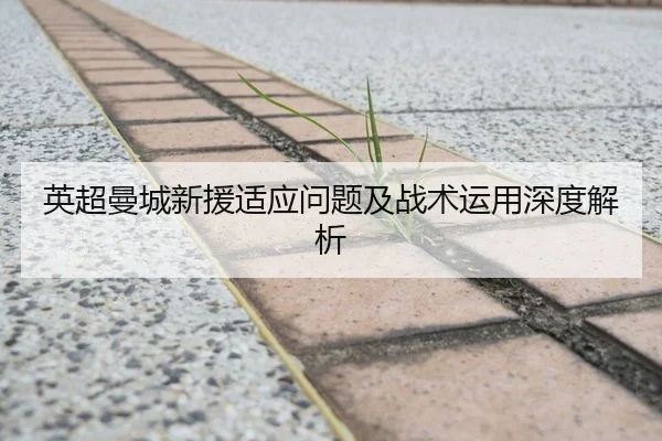 英超曼城新援适应问题及战术运用深度解析